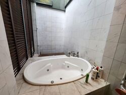 Braddell Heights Estate (D13), Detached #535766131